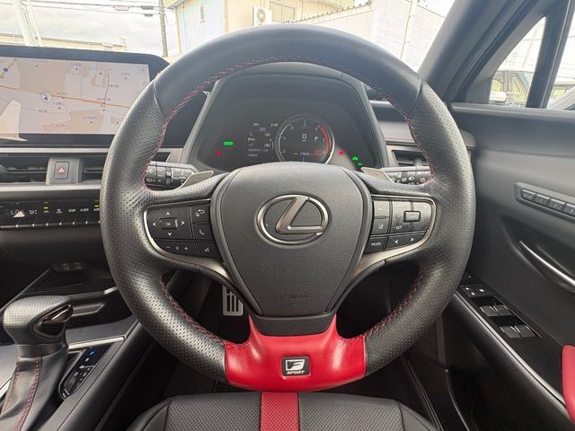 LEXUS UX250h AWD