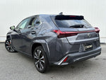 LEXUS UX250h AWD