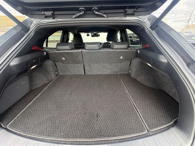 LEXUS UX250h AWD