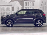 RAIZE HYBRID