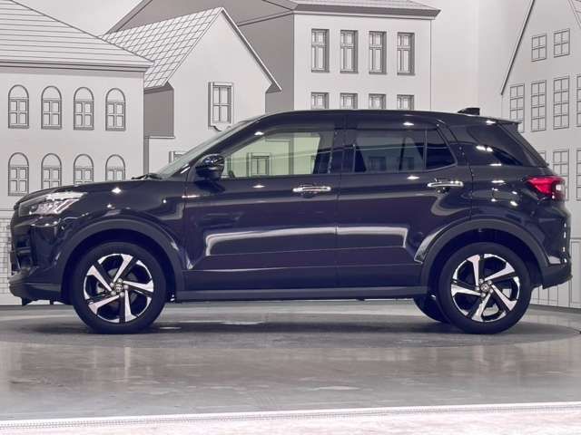 RAIZE HYBRID
