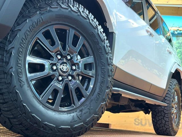 LANDCRUISER 250