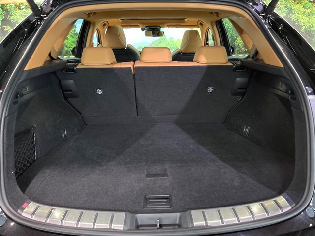 LEXUS NX350h AWD