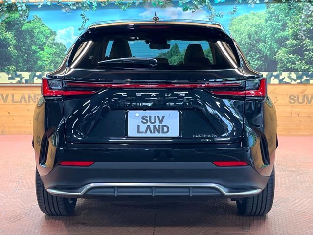 LEXUS NX350h AWD