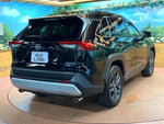 RAV4 HYBRID 4WD