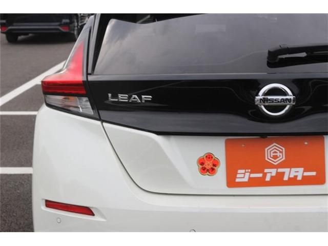 LEAF