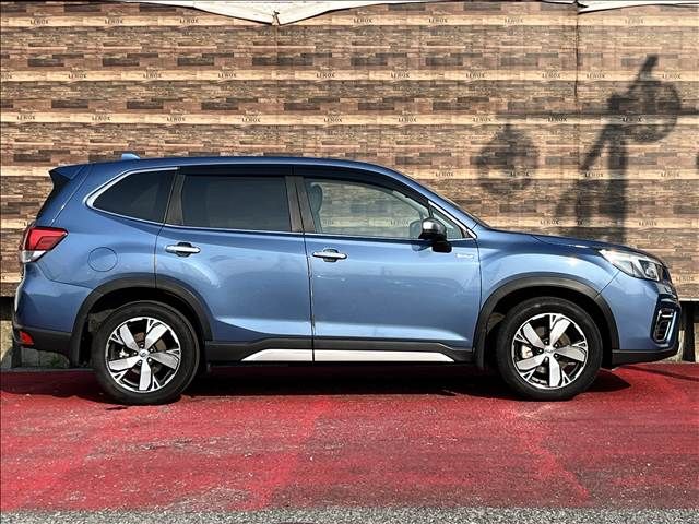 FORESTER