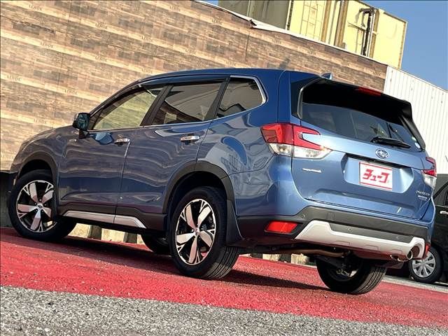 FORESTER