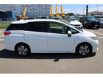 SHUTTLE HYBRID