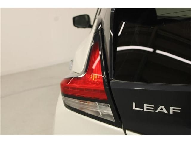 LEAF