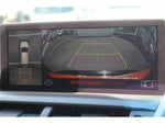 LEXUS NX300h
