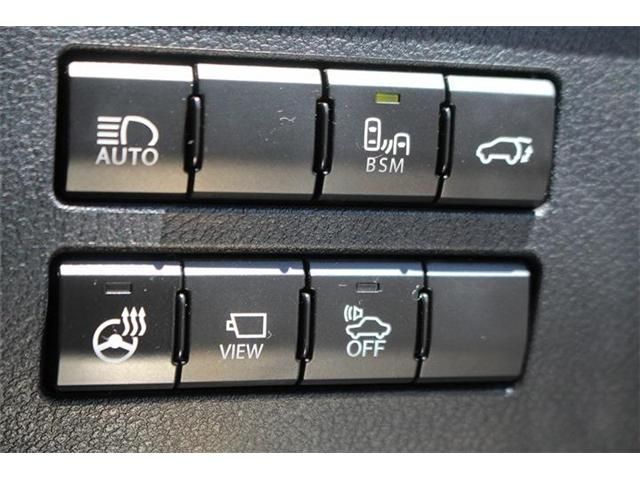 LEXUS NX300h