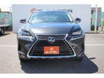 LEXUS NX300h