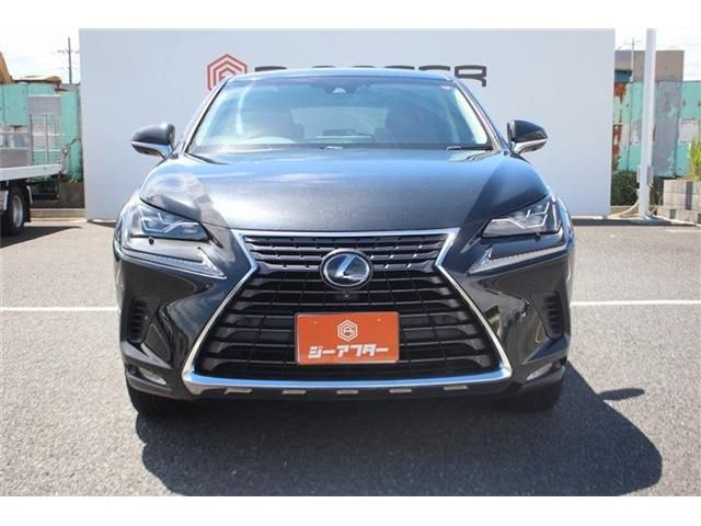 LEXUS NX300h