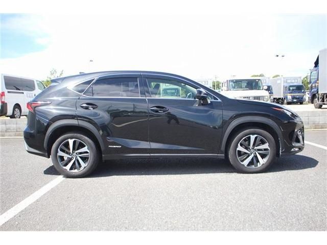 LEXUS NX300h