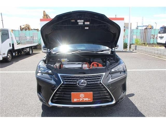 LEXUS NX300h