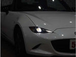 ROADSTER