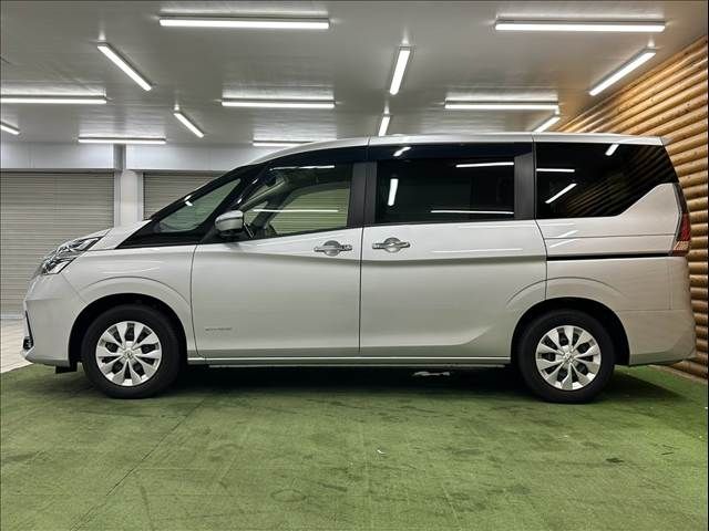 SERENA  S-HYBRID