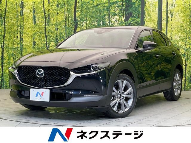 CX-30