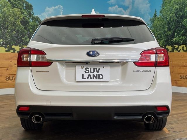 LEVORG