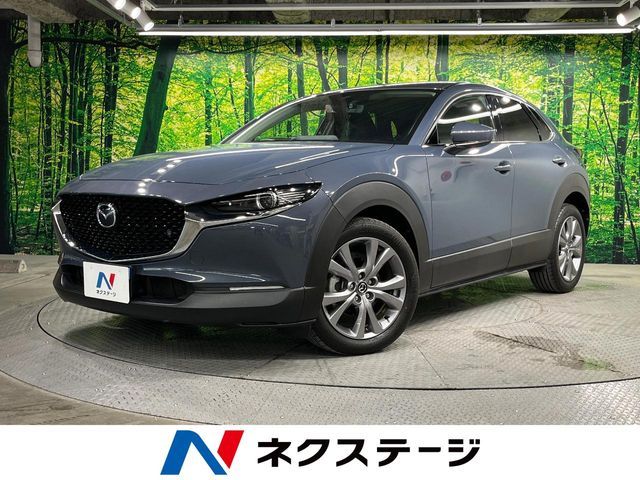 CX-30