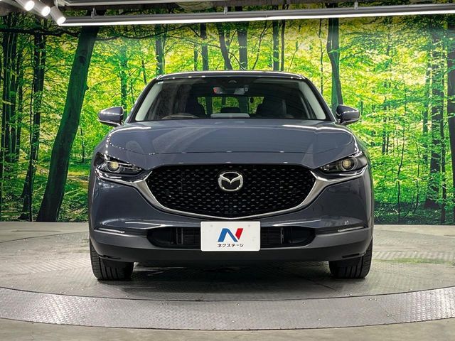 CX-30