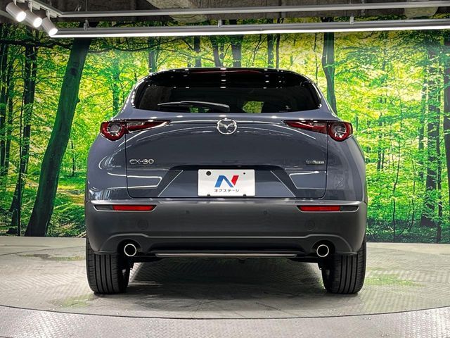 CX-30