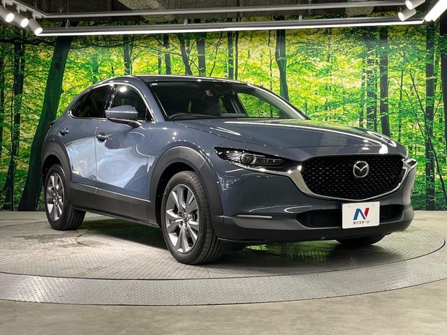 CX-30