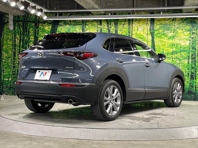 CX-30