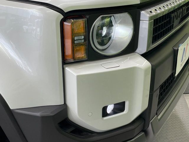 LANDCRUISER 250