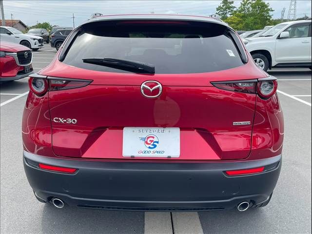 CX-30