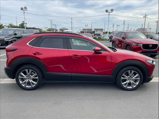 CX-30