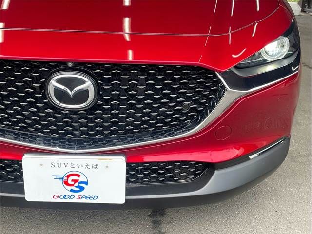 CX-30