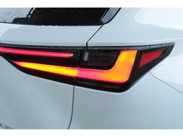 LEXUS NX350h AWD