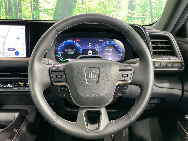 CROWN SPORT
