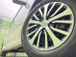 SERENA  S-HYBRID