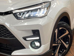 RAIZE HYBRID