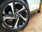 RAIZE HYBRID