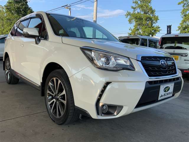 FORESTER