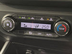 RAIZE HYBRID