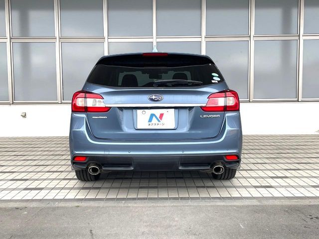 LEVORG