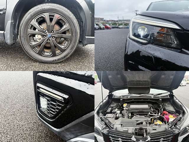 FORESTER