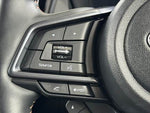 LEVORG LAYBACK
