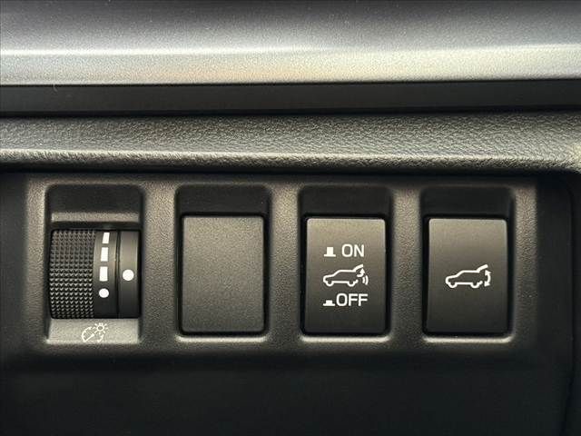 LEVORG LAYBACK