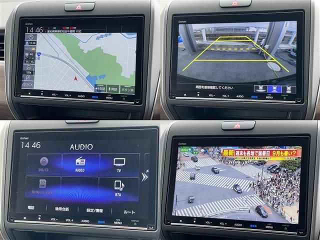 FREED plus HYBRID