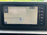 RAIZE HYBRID