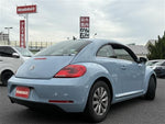 VOLKSWAGEN The BEETLE