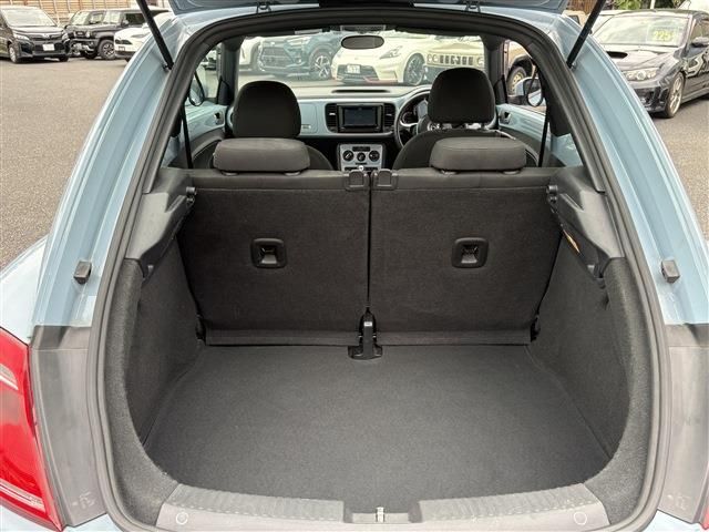 VOLKSWAGEN The BEETLE