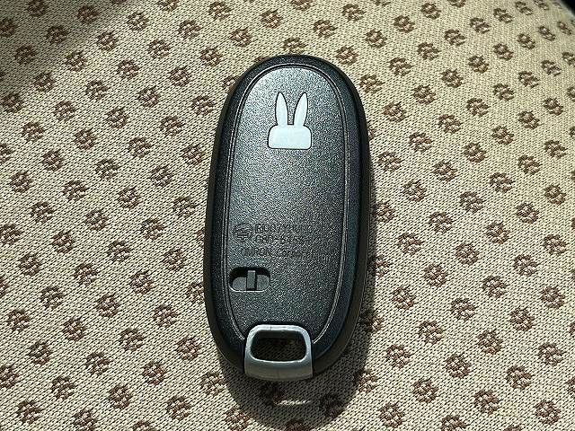 ALTO LAPIN