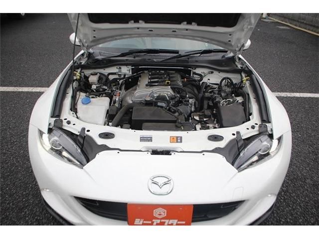 ROADSTER RF